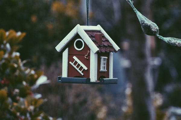 Pourquoi faire appel à l'agence immobilière BARNES à Thonon les Bains pour vos projets immobiliers ?